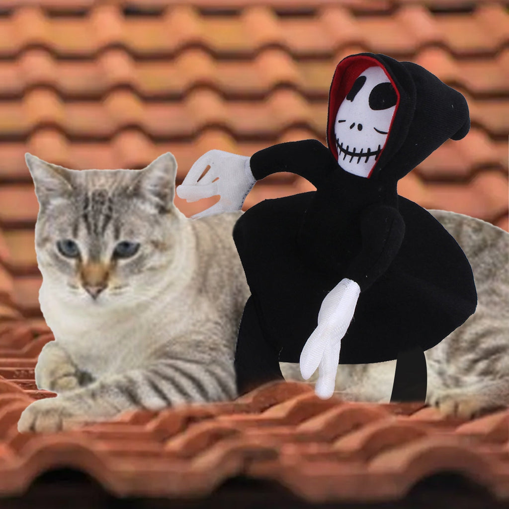 Funny Pet Halloween Costume Pet Decoration Dress-up Pet