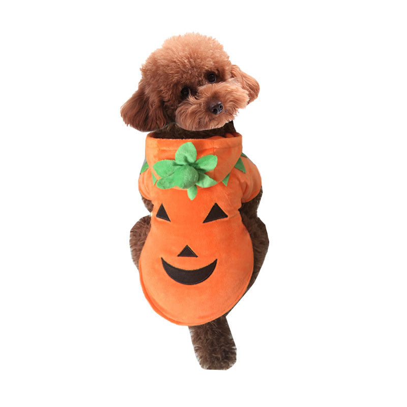 Pumpkin Demon Pet Halloween Costume