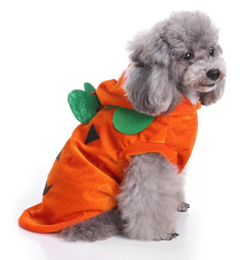 Spider Dog Halloween Pet Costume