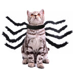 Spider Halloween Costume for Cats & Dogs
