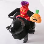 Funny Dog Halloween Costume