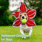 Dog Halloween Chomper Costume - Pet Holiday Demon Hat Scary